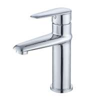 Stainless steel basin faucet Tap surface mirror light not electroplated