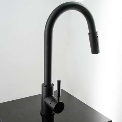 No Lead Kitchen Water Faucet 304 Black Stainless Steel Pull Out Kitchen Faucet