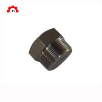 Professional Selling 3000# BSPT Thread Stainless Steel Tube Plug